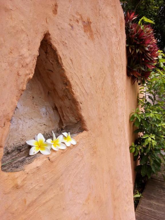 Les Bungalows De La Kazouale Saint-Leu Ngoại thất bức ảnh